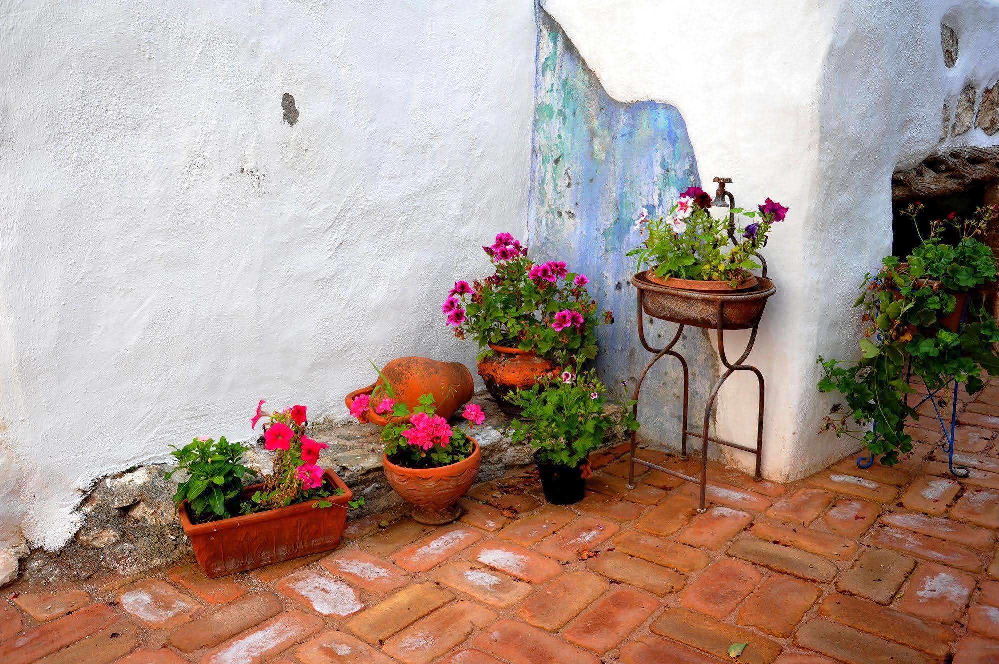 Tipica Sa Corte Locanda *